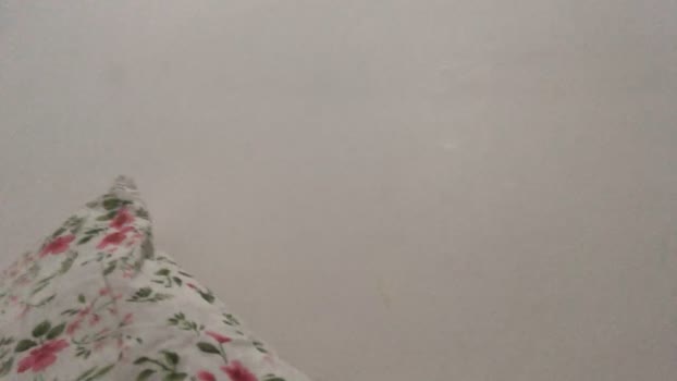 picademel86 14-08-2024 Recorded Video analsex