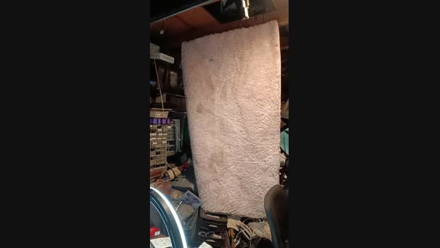 thompson3 14-08-2024 Recorded Video jerkoff