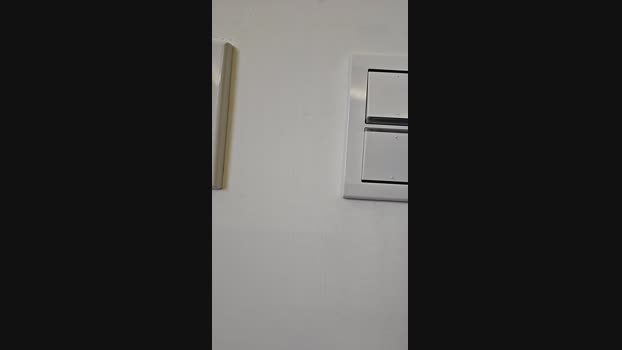 7PuPu 15-08-2024 Recorded Video ass