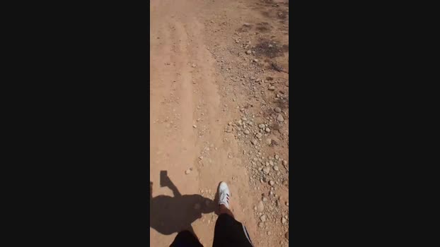 El_ceco 15-08-2024 Recorded Video Download