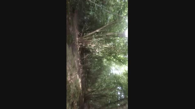 Kinky_Play 15-08-2024 Recorded Video Pretty