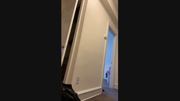 itsup4 15-08-2024 Recorded Video strip