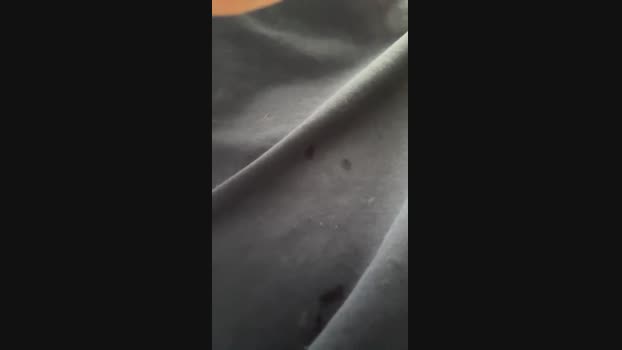 jjyyov 15-08-2024 Recorded Video moan