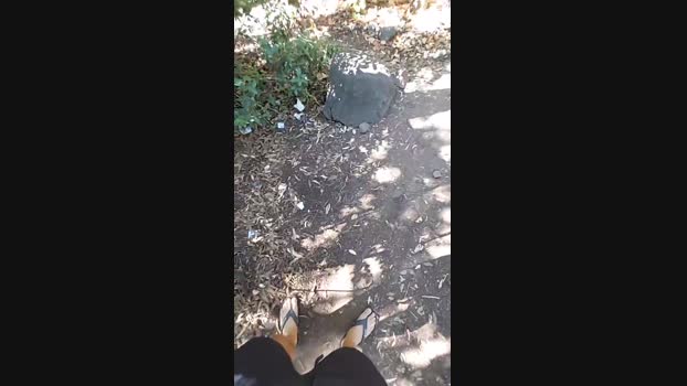 Horny_cruising 15-08-2024 Recorded Video yummy