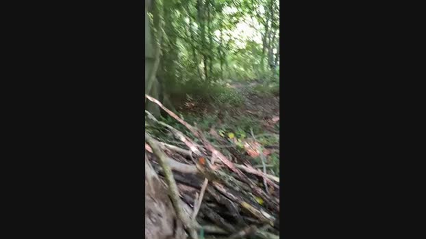 Outandabout85 16-08-2024 Recorded Video bigdick