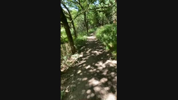 Outandabout85 16-08-2024 Recorded Video Video