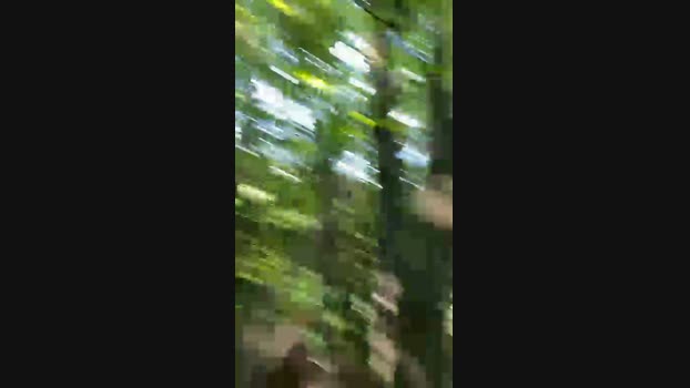 Outandabout85 16-08-2024 Recorded Video wank