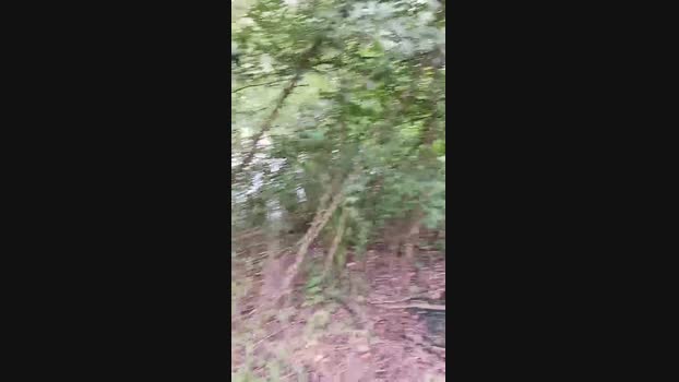 Quarta08 16-08-2024 Recorded Video lick