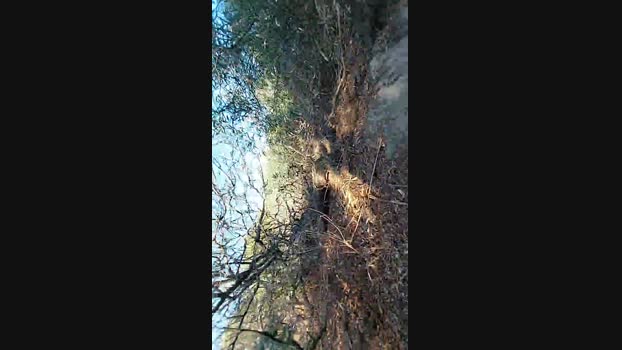 Horny_cruising 16-08-2024 Recorded Video jackoff