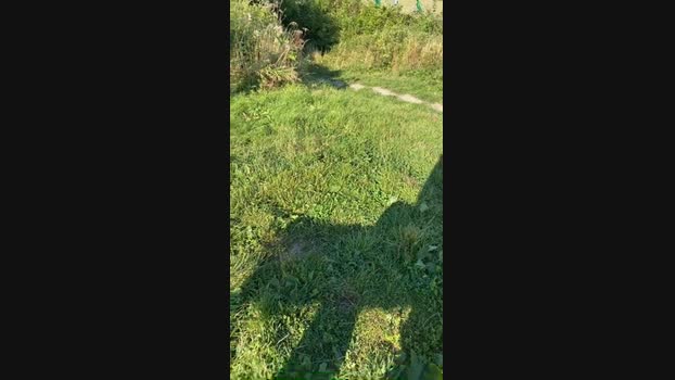 Outandabout85 16-08-2024 Recorded Video juicy
