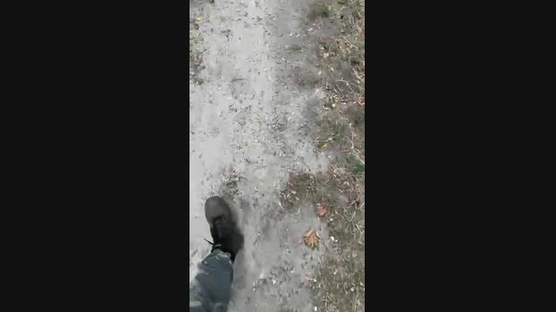 Zorro2024 17-08-2024 Recorded Video big