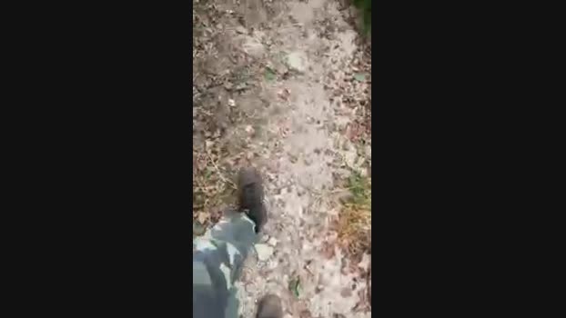 Zorro2024 17-08-2024 Recorded Video big