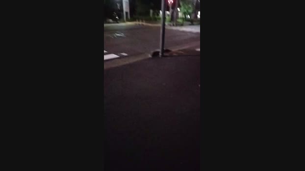 zachs4545 17-08-2024 Recorded Video moan