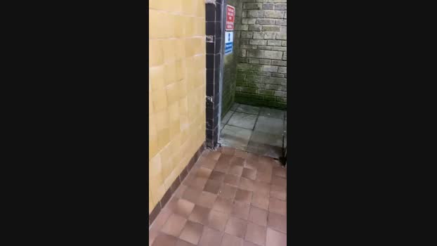Outandabout85 18-08-2024 Recorded Video oral