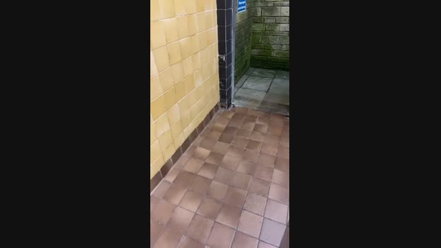 Outandabout85 18-08-2024 Recorded Video beautiful