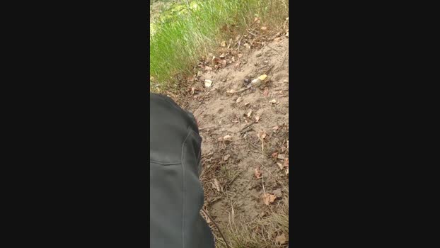 polli_play 18-08-2024 Recorded Video cute