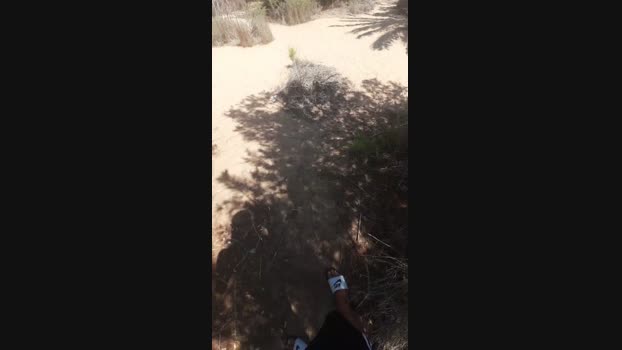 El_ceco 19-08-2024 Recorded Video natural