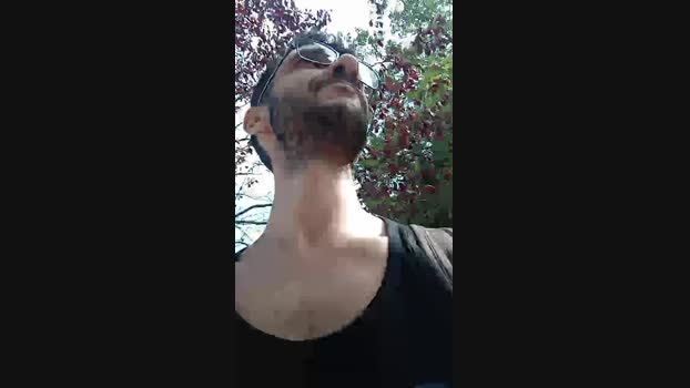 latinrobin 19-08-2024 Recorded Video Video