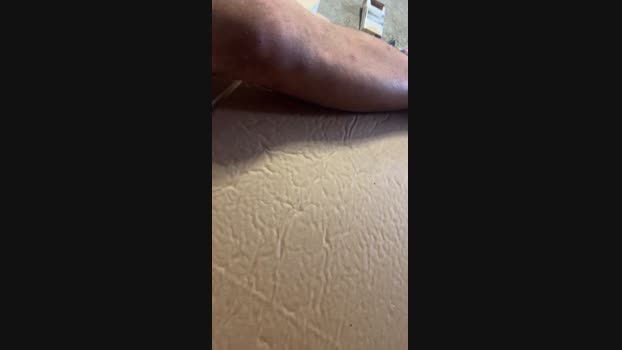 Fox95 20-08-2024 Recorded Video twink