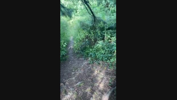 Outandabout85 20-08-2024 Recorded Video Cam