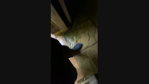 Outandabout85 20-08-2024 Recorded Video ass