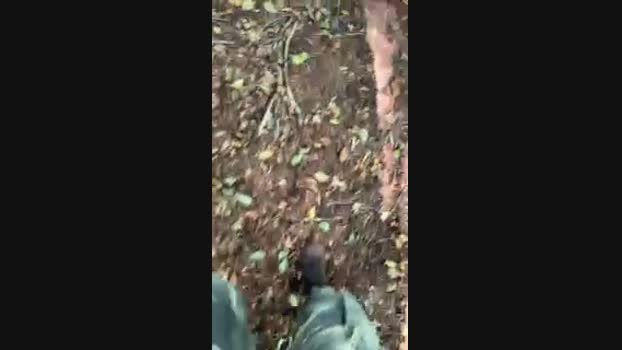 Zorro2024 20-08-2024 Recorded Video natural