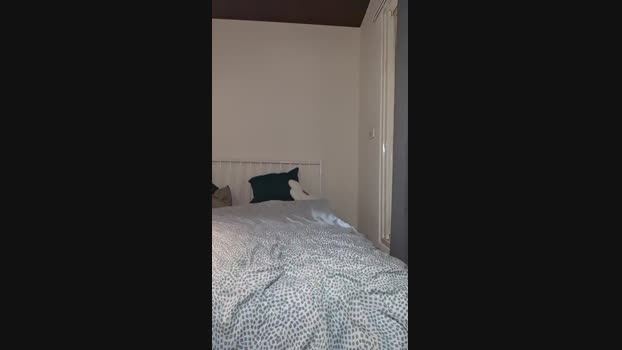 camboy_999 20-08-2024 Recorded Video moan