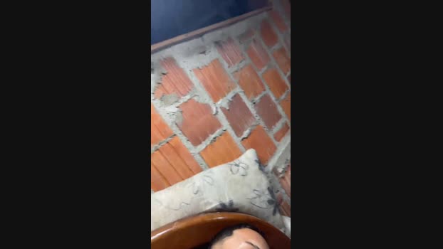 dotadosbaianos 20-08-2024 Recorded Video beautiful