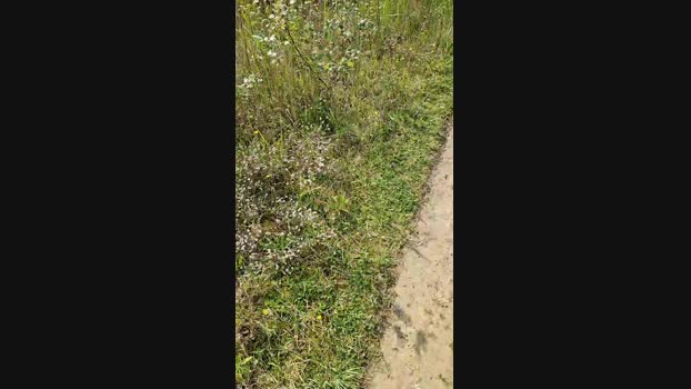 elblover 20-08-2024 Recorded Video deep