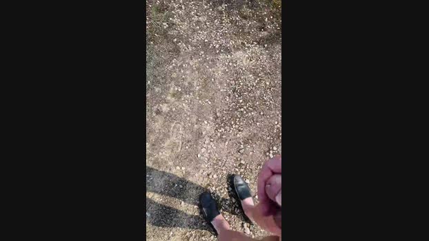 elblover 20-08-2024 Recorded Video bigtoys
