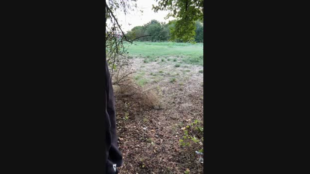 JOREDD 20-08-2024 Recorded Video toys