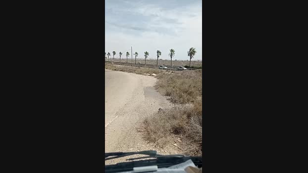 anonimo1974 21-08-2024 Recorded Video natural