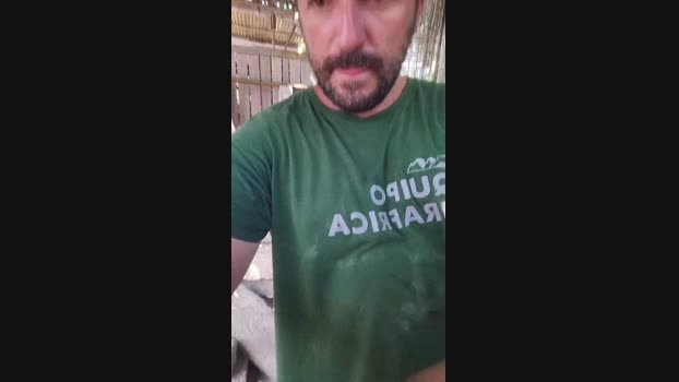tattoointimo 21-08-2024 Recorded Video natural