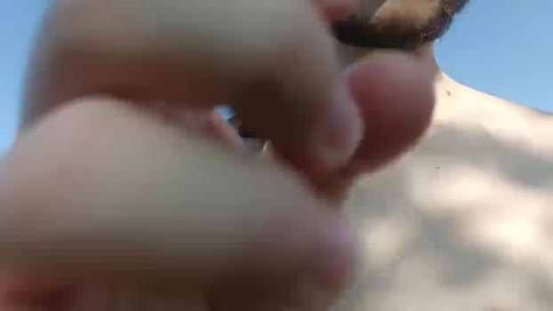 FrenchDonneLoad 22-08-2024 Recorded Video lovense
