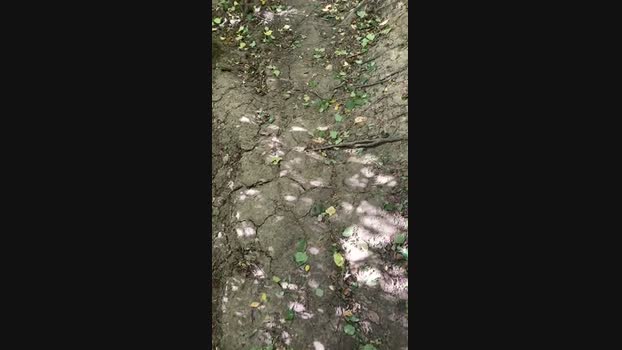 Outandabout85 22-08-2024 Recorded Video Download