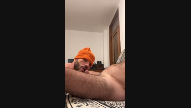 Perrohispano 21-08-2024 Recorded Video analtoy