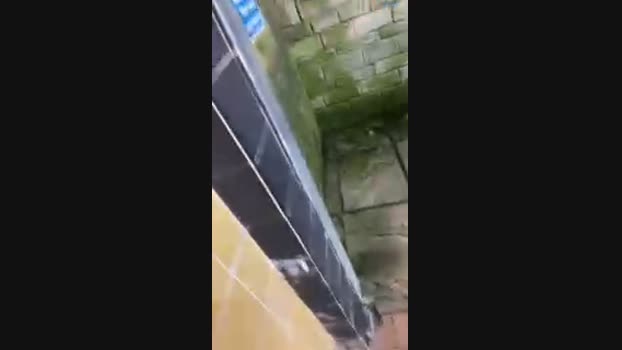 Outandabout85 23-08-2024 Recorded Video natural