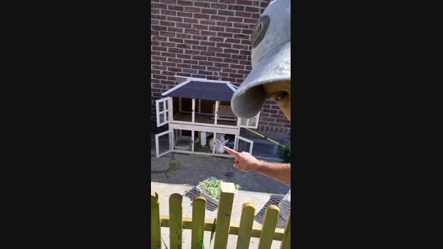 Tastit4cs 23-08-2024 Recorded Video hard