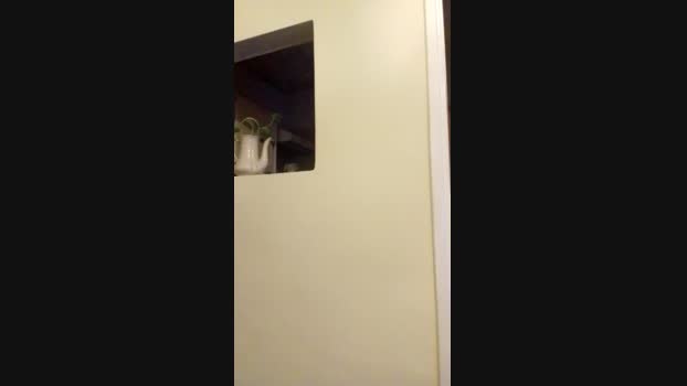leandro_leonel1 23-08-2024 Recorded Video fuckass