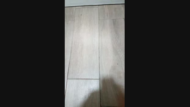 Trancabarranca