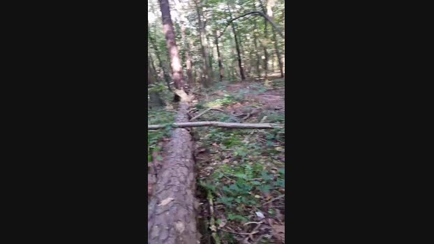 Outdoorgeil1 25-08-2024 Recorded Video big