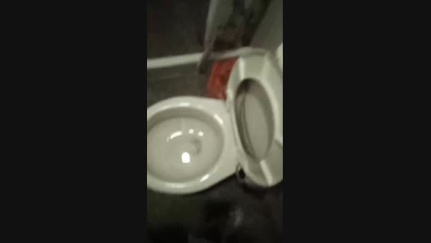 gonzo_art 25-08-2024 Recorded Video fuckher
