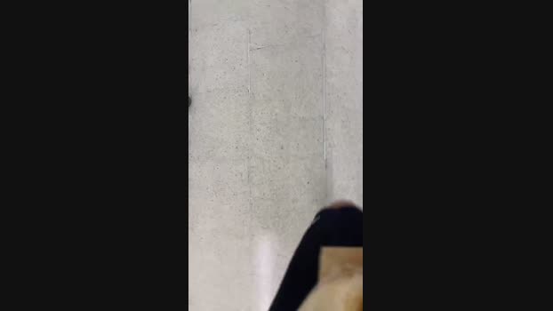 Somefunnonly 26-08-2024 Recorded Video harddick
