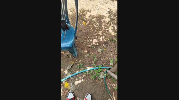 XoXocum4 26-08-2024 Recorded Video lovense