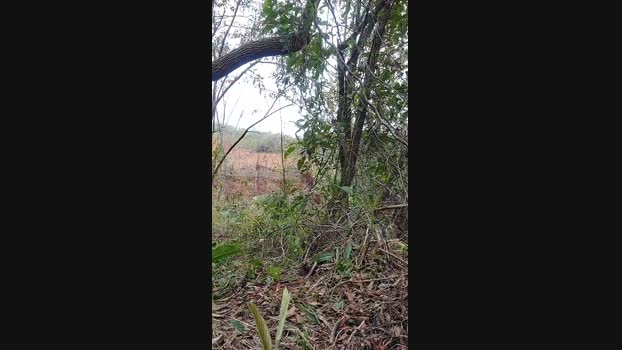 Spix4ever 28-08-2024 Recorded Video show
