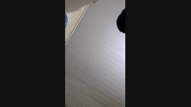 Vitinho19cm 28-08-2024 Recorded Video gay