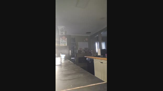 4_Fox_sakes 29-08-2024 Recorded Video kiss