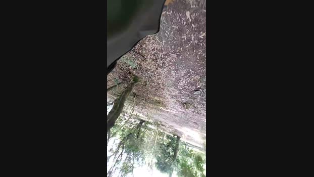 Horny_cruising 28-08-2024 Recorded Video bigload
