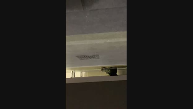 super996999 29-08-2024 Recorded Video bigdick