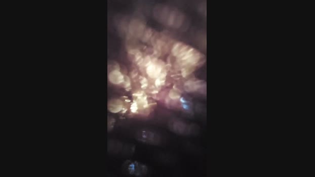 Horny_cruising 29-08-2024 Recorded Video toy